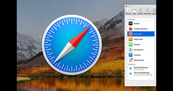 how to zoom out on safari