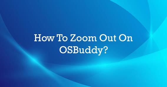 How To Zoom Out On OSBuddy