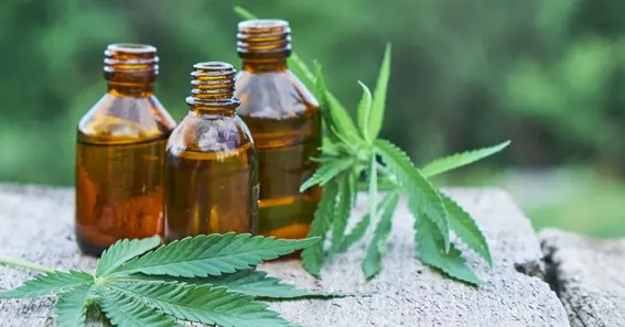 Debunking Common Myths About Cbd Oil