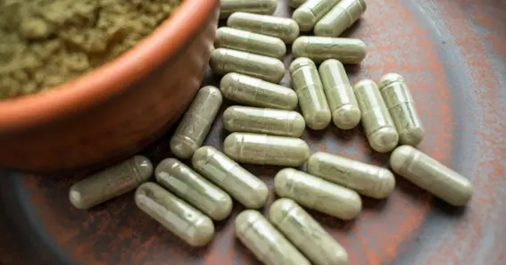 How to Shop for the Best Kratom Capsules: Tips and Tricks
