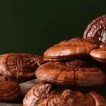 Revealing the Soothing Effects of Reishi Mushroom Gummies for Better Sleep